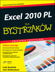 Excel 2010 PL. wiczenia praktyczne dla bystrzakw