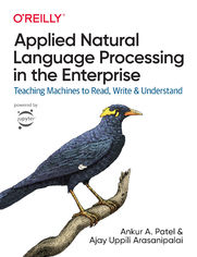 Applied Natural Language Processing in the Enterprise