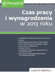 Czas pracy i wynagrodzenia w 2013 roku