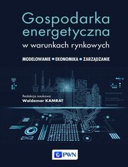 Gospodarka energetyczna w warunkach rynkowych