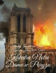 Katedra Notre Dame w�Pary�u