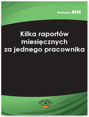 Kilka raportw miesicznych za jednego pracownika