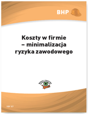 Koszty w firmie - minimalizacja ryzyka zawodowego