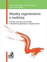 Midzy zagroeniem a nadziej. Polityka rozwoju miast Polski w kontekcie globalnych megatrendw