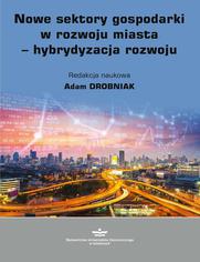 Nowe sektory gospodarki w rozwoju miasta - hybrydyzacja rozwoju