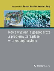 Nowe wyzwania gospodarcze a problemy zarzdcze w przedsibiorstwie