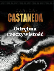 Odrbna rzeczywisto