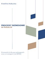 Procesy biznesowe w piguce. Przewodnik dla pocztkujcych wraz ze wstpem do BPMN