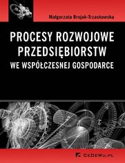 Procesy rozwojowe przedsibiorstw we wspczesnej gospodarce