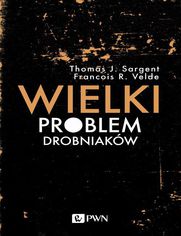 Wielki problem drobniakw