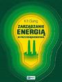 Zarzdzanie energi w przedsibiorstwie