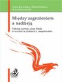 Midzy zagroeniem a nadziej. Polityka rozwoju miast Polski w kontekcie globalnych megatrendw