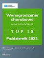 Wynagrodzenie chorobowe i inne wiadczenia - TOP10 Padziernik 2022