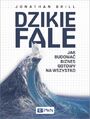 Dzikie fale