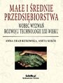 Mae i rednie przedsibiorstwa wobec wyzwa rozwoju technologii XXI wieku