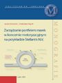 Zarzdzanie portfelem marek w koncernie motoryzacyjnym na przykadzie Stellantis N.V