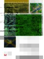 System zintegrowanego planowania rozwoju w warunkach polskich. Zaoenia - zasady kierunkowe - koncepcja